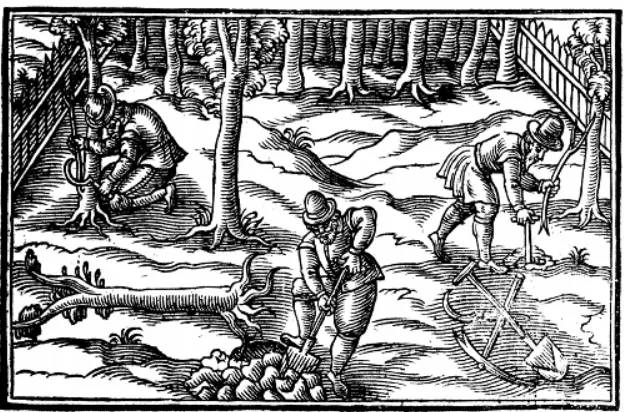 Figure   3.      A   depiction   of   men   using   natural   resources   from   the   frontispiece   to   A   New   Orchard   and   Garden   (1623)