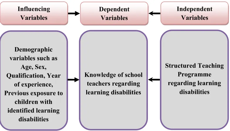 Figure. 3 The Schematic Representation of the Variables 
