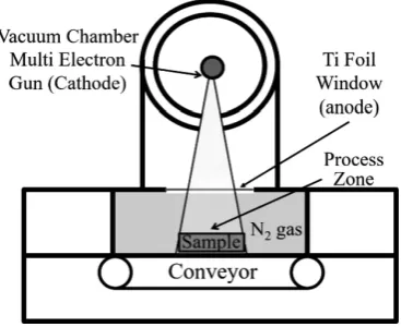 Fig. 1　Schematic drawing of electron beam irradiation.