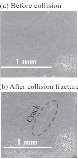 Fig. 2　Schematic drawing of impact fatigue tests.