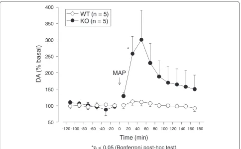 Figure 8 In vivo microdialysis analysis of mGluR3 KO mice.the collection of basal fractions, MAP (2 mg/kg, i.p) was administrated at time 0