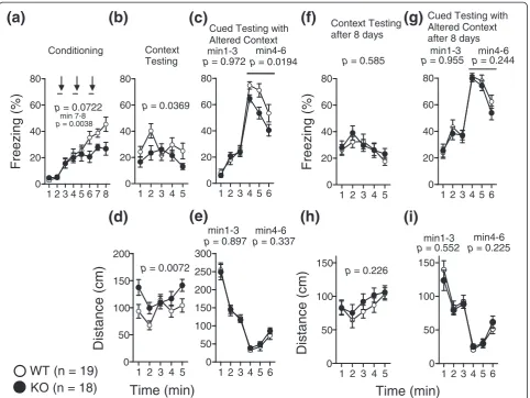Figure 6 Cued and contextual fear conditioning test. Freezing rates during the conditioning phase (a), contextual test performed 24-hoursafter conditioning (b) and the cued test with altered context (c) were recorded