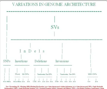 Fig. 1 Structural Variations of a Genome