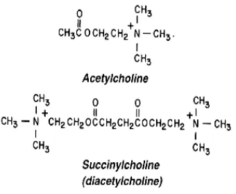 Figure 3: Chemical structure of succinylcholine 