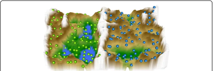 Fig. 6 3D-display of the U-matrix representation of the lipid marker (Fig. 1) plasma concentration pattern