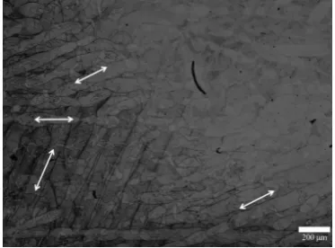 Fig. 3　Laser scanning trace on Z plane of the as-built specimen.