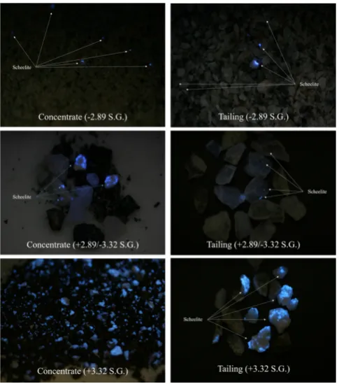 Figure 7 shows the result of the sink and foat test. In the 