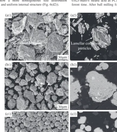 Fig. 8　SE morphological and corresponding cross-sectional BSE images of powder mixtures milled with 0.625 mass% stearic acid for (a1)–(a2) 5 h, (b1)–(b2) 20 h, (c1)–(c2) 40 h.