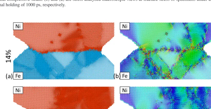 Fig. 9　(a) and (c) macroscopic views near the interface under an as-compressed condition of specimens with initial compressive strain of 14 and 18%, re-spectively