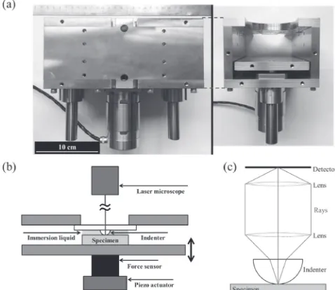 Fig. 1(a) In situ indentation jig, (b) schematic diagram of the in situindentation setup, and (c) schematic of the ray paths with a confocal lasermicroscope.