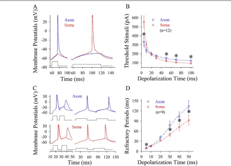 Figure 4 Spike thresholds and refractory periods are changed dynamically by the patterns of input signals at the soma vs