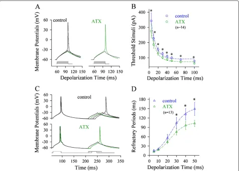 Figure 5 ATX, a reagent of preventing VGSC inactivation, reduces spike thresholds and shortens refractory periods at the axon.thresholds and refractory periods are measured dynamically by changing the patterns of input signals at the axon.axonal spike thre