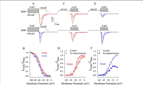 Figure 6 Pre-depolarization inactivates voltage-gated sodium channels (VGSC) partially and weakens their subsequent activation atthe axon
