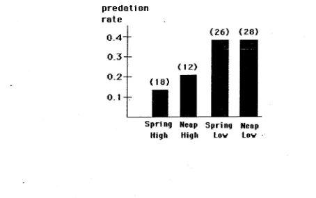 Figure 3.5 Overall predation rates (proportion taken by fish) of tethered hatchling 