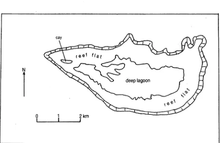 Figure 3.1 Heron Island and reef. (Hatched area indicates reef slope.) 