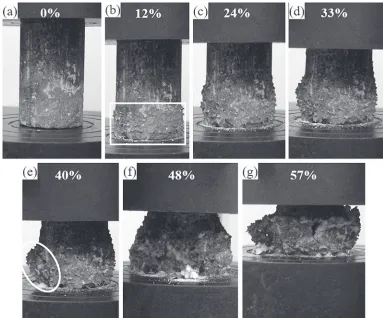 Fig. 6(a)­(g) Deformation of the A356 matrix syntactic foam (3.5­4 mm hollow spheres) with gradual compression, the compressivestrains from (a) to (g) were 0%, 12%, 24%, 33%, 40%, 48%, 57%, respectively.