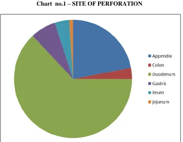 TABLE no.1 – SITE OF PERFORATION  
