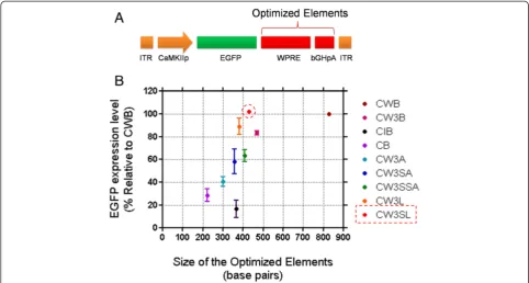 Figure 3 The plot of optimized elements’ size against transgene expression efficiency of each expression cassette