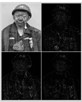 Figure 3. face image pixels proportion.   