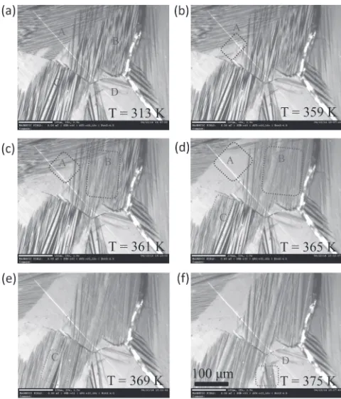Fig. 4In-situ observation of phase transition of Ni45Mn37In13Co5 alloyduring heating: (a)­(f ) represent typical microstructures at diﬀerenttemperature (a) 313 K, (b) 359 K, (c) 361 K, (d) 365 K, (e) 369 K,(f ) 375 K.