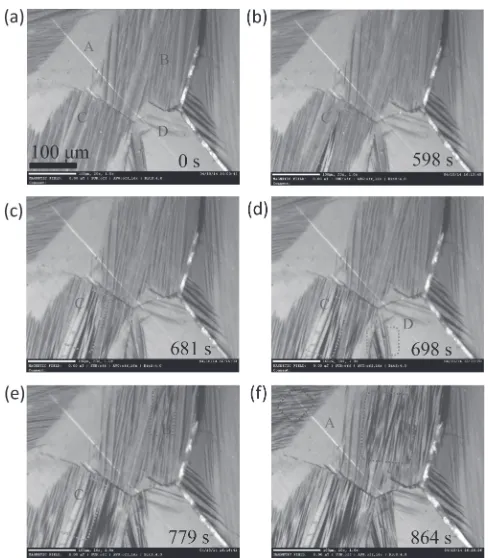 Fig. 5In-situ observation of phase transition of Ni45Mn37In13Co5 alloyupon cooling: (a)­(f ) represent typical microstructures at diﬀerent time((a) 0 s, (b) 598 s, (c) 681 s, (d) 698 s, (e) 779 s, (f ) 864 s) during coolingfrom 398 K to room temperature.