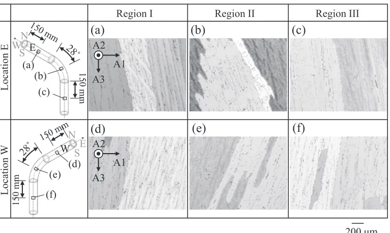 Fig. 9Polarized microscopic images of bent cylindrical specimens.