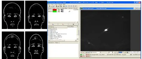 Figure 3. The style of template image and the show of correlation calculation results