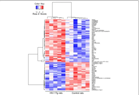Table S1) as was the IGF signaling pathways by GSEA