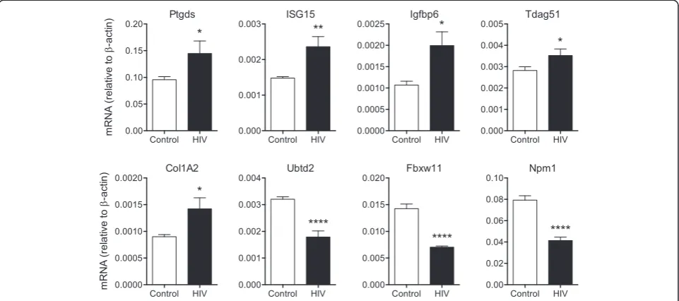 Figure 5 RT-PCR validation of differentially expressed genes in the hippocampus of HIV-1 Tg rats