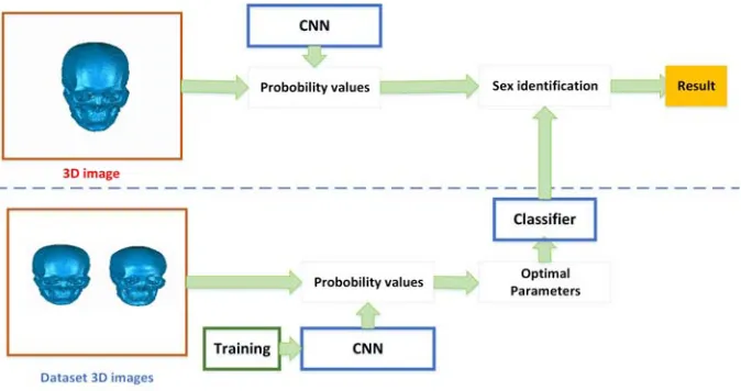 Figure 1. The framework.  