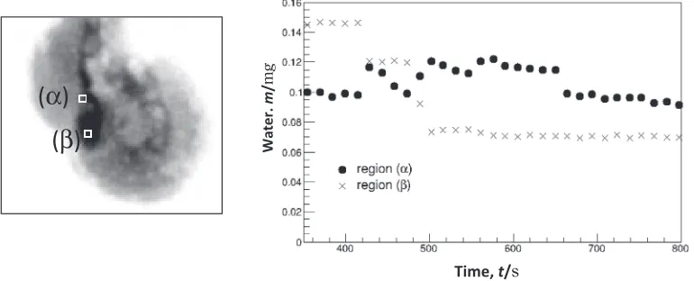 Fig. 11Time dependence of amount of water in speciﬁc regions. The left ﬁgure shows speciﬁc regions of 2 mm © 2 mm and the rightﬁgure shows the time dependence in each region.