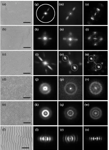 Fig. 2　Optical Microscope images for representative patterns and corresponding diffraction patterns from white and red light source, the second and third line