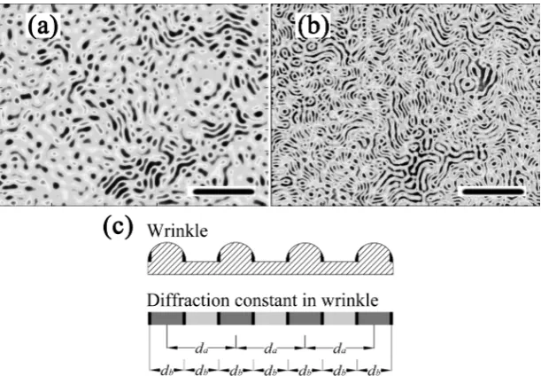 Fig. 5　Inverse FFT of different order of rings in Fig. 2 (w). (a) iFFT from the inner ring, (b) iFFT from the outer ring