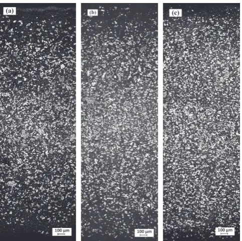 Fig. 7 is actually a large-size fragmented dendrite stuck in the 