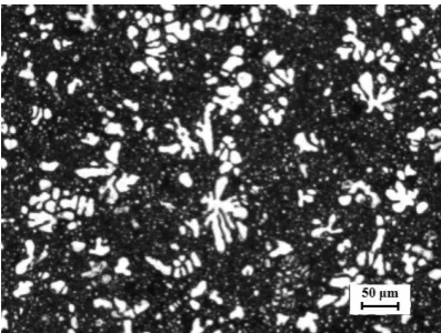 Fig. 10　Typical etched microstructure in the specimen cut from the middle part of the plate with thickness of 3.75 mm from a vacuum die casting produced at the slow shot speed of 0.15 m/s.