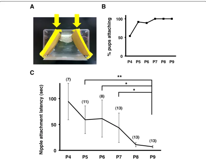 Figure 2 The modified test procedure for measuring nipple attachment latency. (A) The modified experimental platform