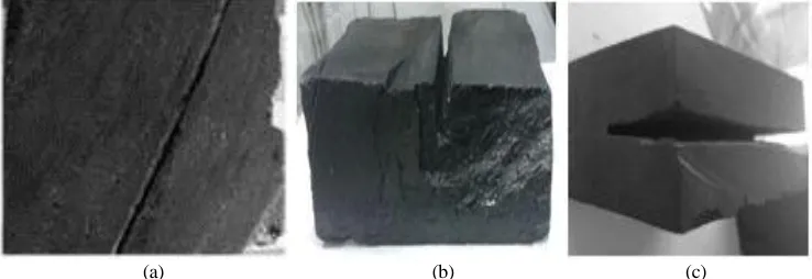 Figure 3. (a) The coal with surface crack, (b) the coal with back crack, (c) the planar crack in the coal sample
