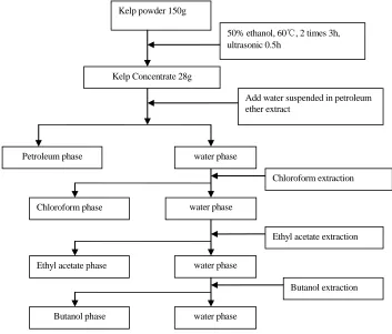 Figure 1.  Kelp gradient extraction flow chart.  