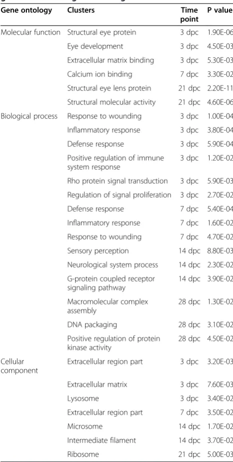 Table 1 Temporal classification of up-regulated retinalgene cluster changes following ONC