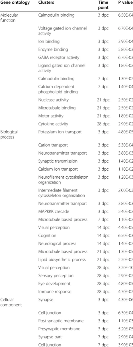 Table 4 Temporal classification of down-regulated ONgene cluster changes following ONC (Continued)