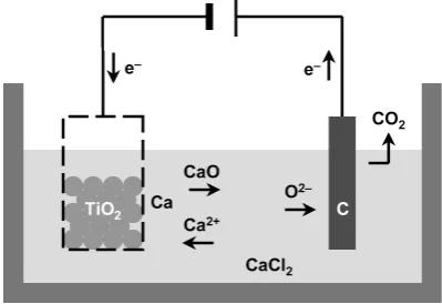 Fig. 1　Schematic of the electrolytic cell used in the OS process. The ca-thodic reduction of titanium dioxide occurs through deposited calcium metal.
