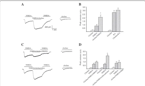 Figure 1 Choline induced synergistic effect on NMDAR currents through the α 7-nAchR/NMDAR direct protein-protein interaction.(A) Co-application of 1 mM choline with 50 µM NMDA/10 µM glycine produced a synergistic effect that display a significantly larger 