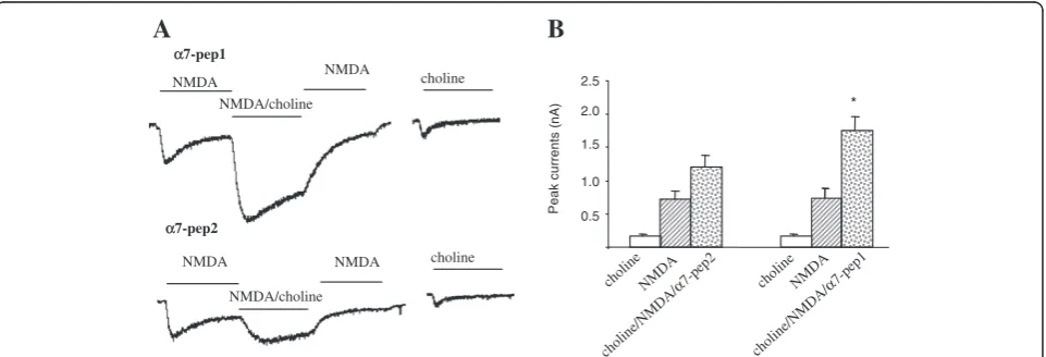 Figure 4A-D, intracellular application of α7pep2[L336-