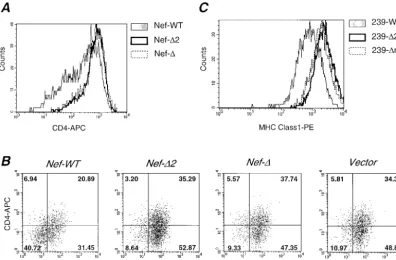 FIG. 5. Absence of cell surface marker downregulation by truncated Nef proteins. (A) HeLa-CD4 cells transfected with bicistronic Nef-EGFPvectors were analyzed by ﬂow cytometry for CD4 downregulation