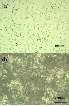 Figure 4. Microstructure of 1# sample (4a: before etching; 4b: after etching). 
