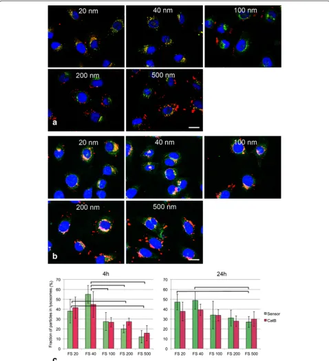 Figure 3 Co-localization of fluorescently labeled CPS (FluoSpheres, 25 μg/ml in DMEM + 2%FBS) and lysosomes identified byLysoSensor and cathepsin B activity by CV-(RR)2 substrate in EAhy926 cells after 4h of exposure (a) and 24h (b) after particles wererem