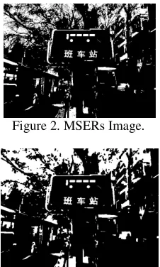 Figure 2. MSERs Image. 