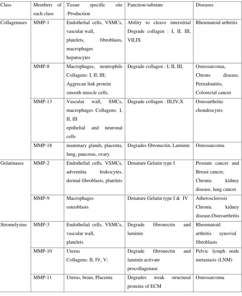 Table 1: Classification, Functions and related pathology of MMP family   Class   Members of 