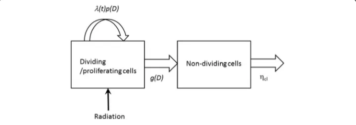 Fig. 1 Diagram of the proposed 2-component model