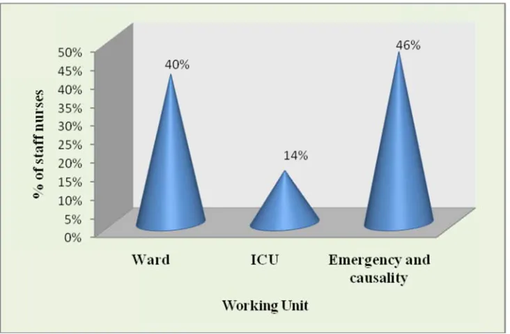Fig. 6 : Conical diagram showing the training unit of the students